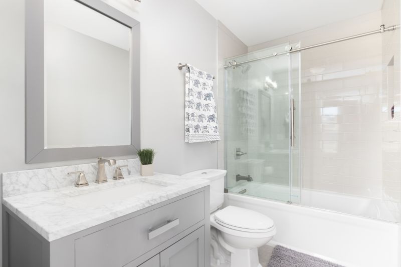 Bathroom Conversion Service in Sarasota, FL