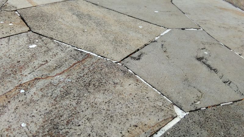 Close-up of Resurfaced Saltillo Tiles